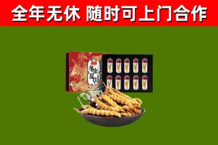 白沙烟酒回收冬虫夏草礼盒.jpg